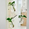 3PCS Hanging Wall Mounted Flower Pot Plastic Plant Propagation Jar  Bathroom Window