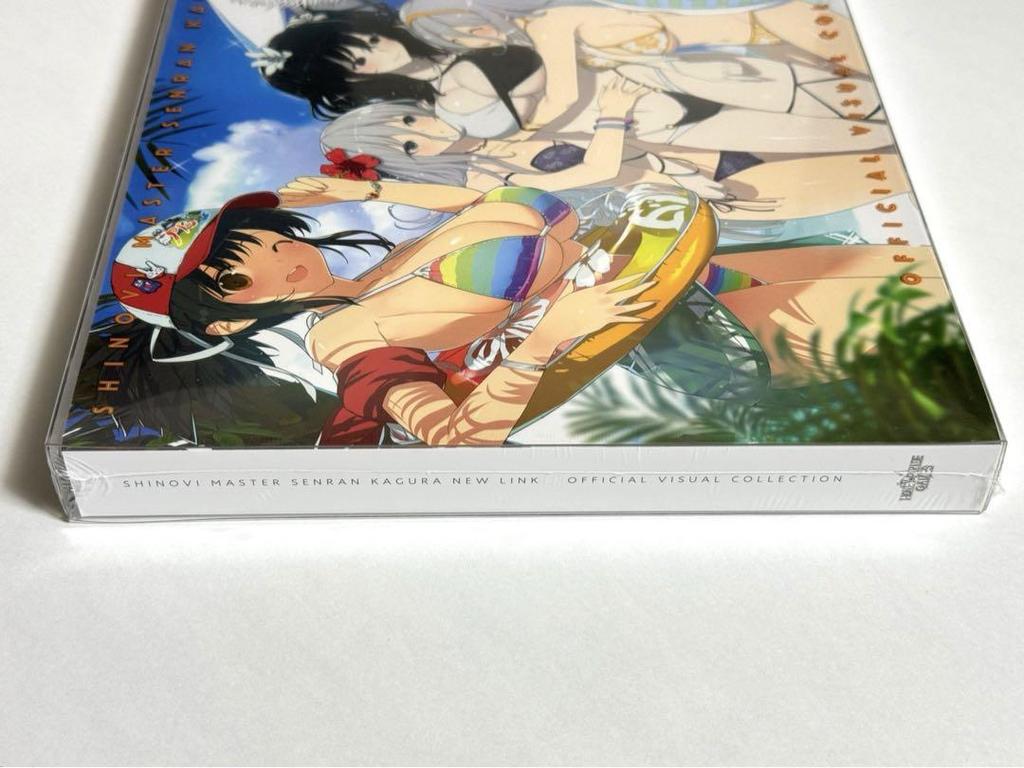 [USED] Shinobi Master Senran Kagura Senran Kagura TEN Visual Collection