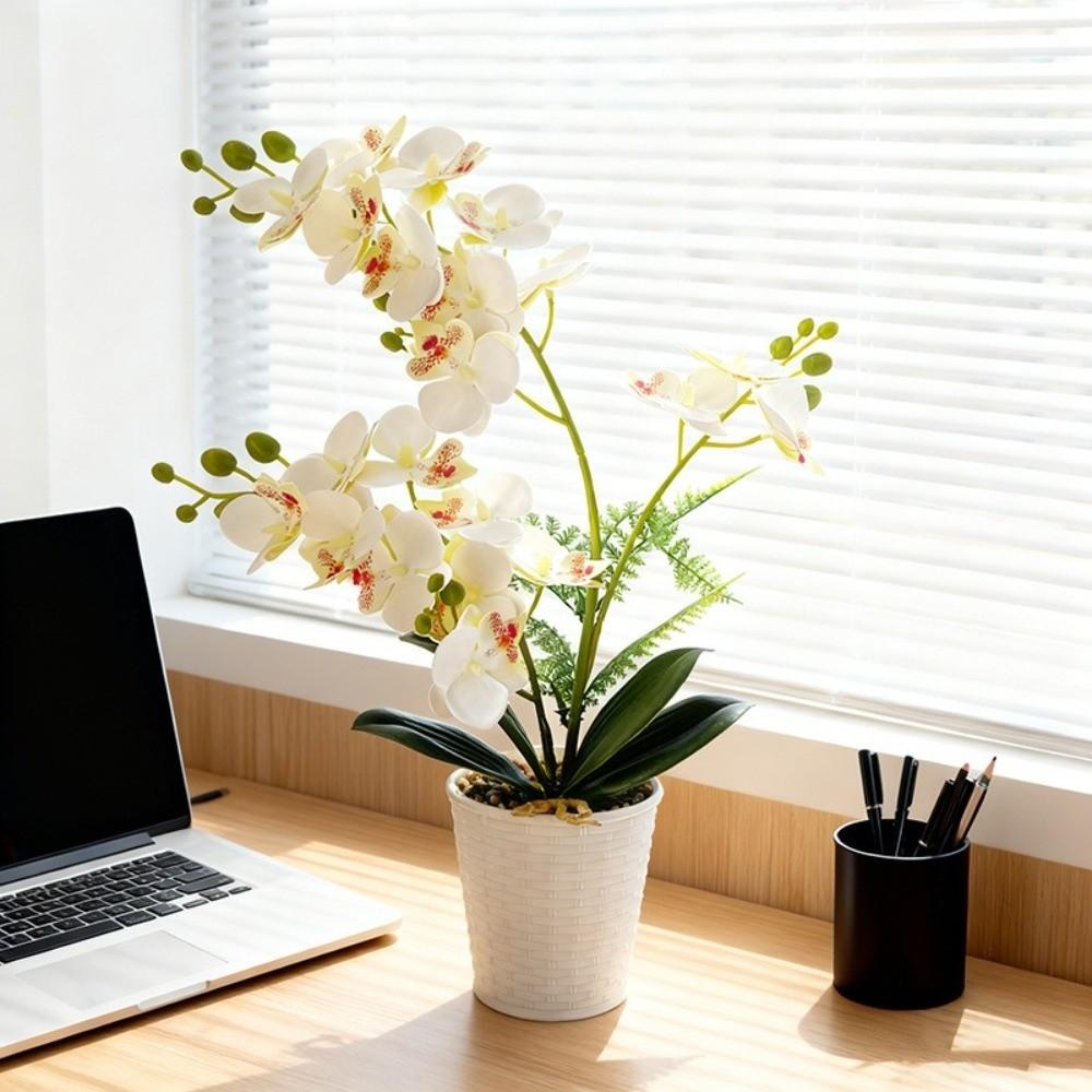 White Flower Pot Simulated Butterfly Orchid Multi-Bloom Plastic Fake Flower  Home Decor