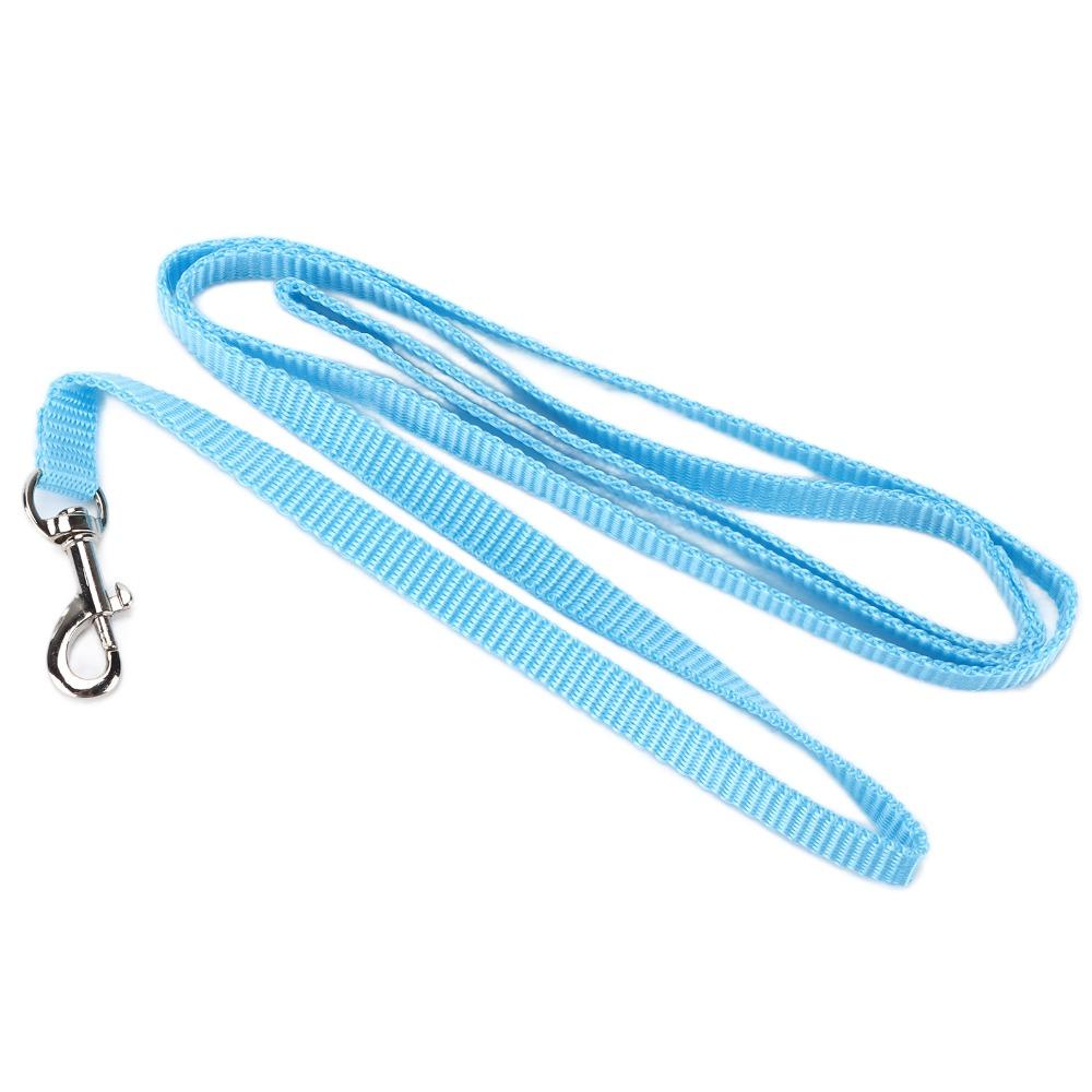 Boucle de sécurité Harnais pour animaux de compagnie Laisse Ensemble de laisses pour volaille Bleu Harnais de promenade extérieur Poulet