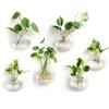 1pcs Wall-Mounted Glass Hanging Planter Set Clear Round Hydroponic Plant Vase for Indoor Home Decor & Small Green Plants