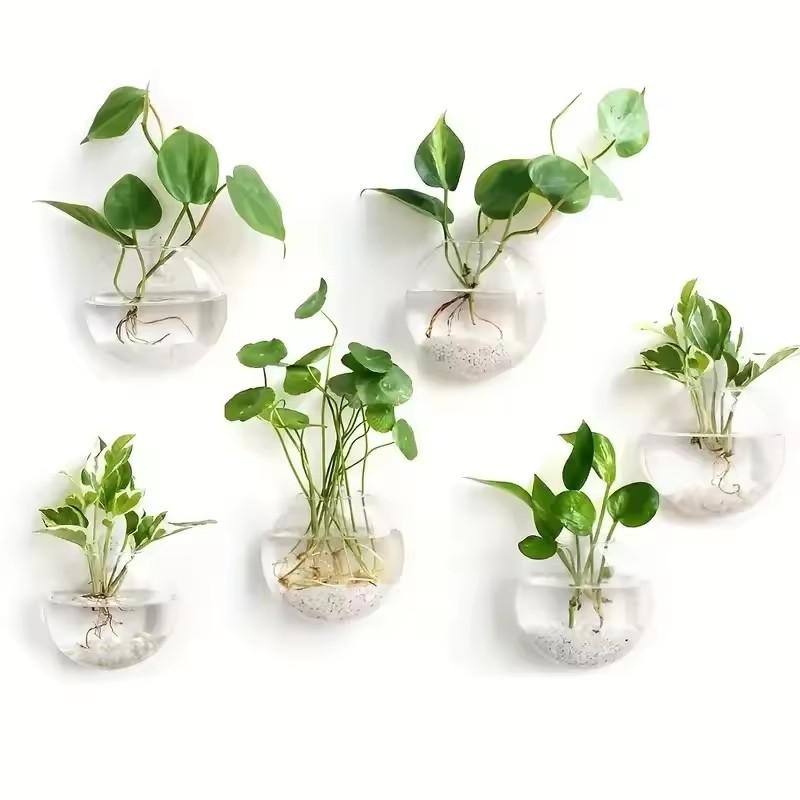 1pcs Wall-Mounted Glass Hanging Planter Set Clear Round Hydroponic Plant Vase for Indoor Home Decor & Small Green Plants