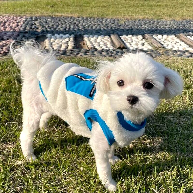 Pet Autumn/Winter Plush Hoodie Teddy Plush Coat Kitten Cat Small Puppy Schnauzer Dog Clothes for Small Dogs Puppy Clothes