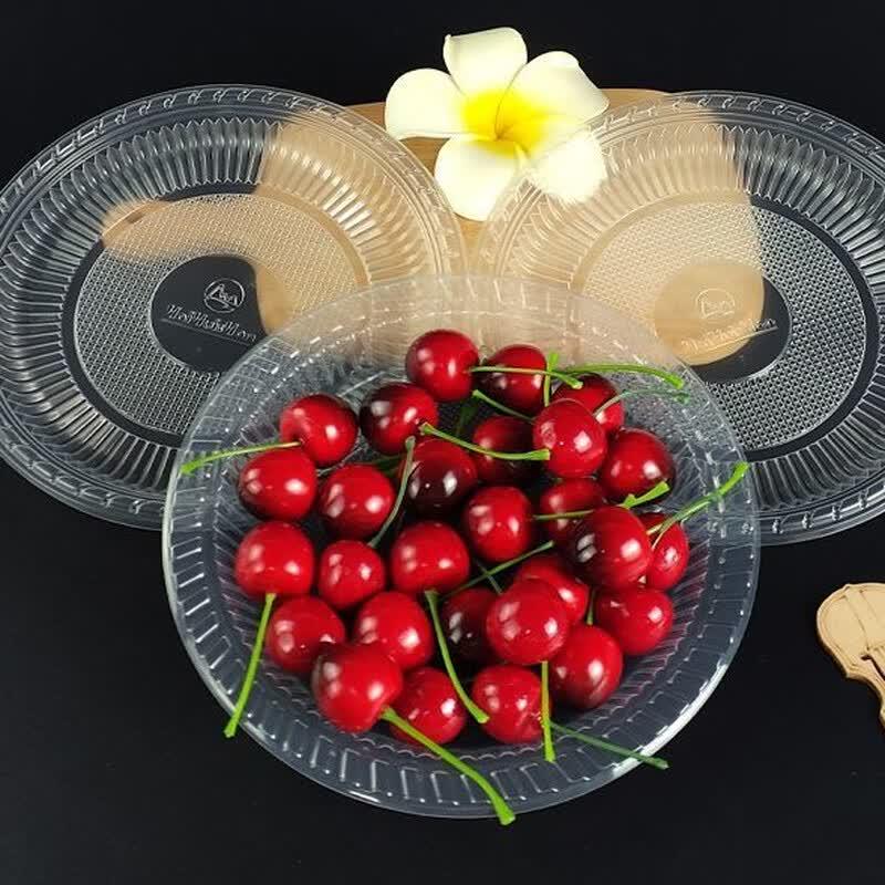 

6-inch Disposable Plastic Round Plates, 100 Count