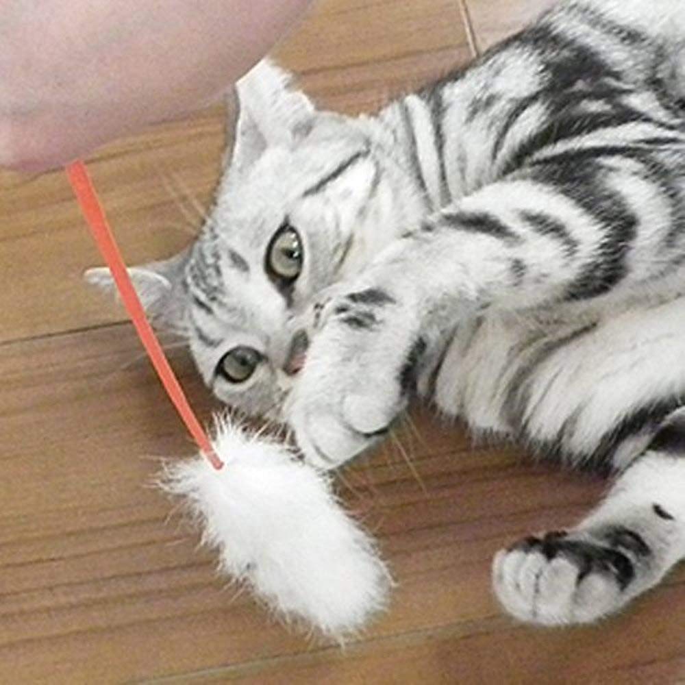 CattyMan Playful Cat Toys, 2 Sticks x 3 Packs ()