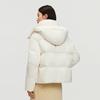 BOSIDENG B250244192 Goose Down Business Casual Jacket