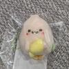 HEARTS2HEARTS [Unopened] Haruhaha Chomp Peanuts Lemon Keyling Ian Doll
