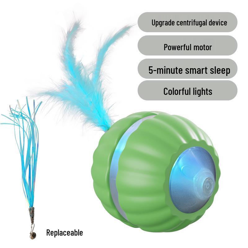 Electric Interactive Cat Teasing Ball and Stick Kitten Toy