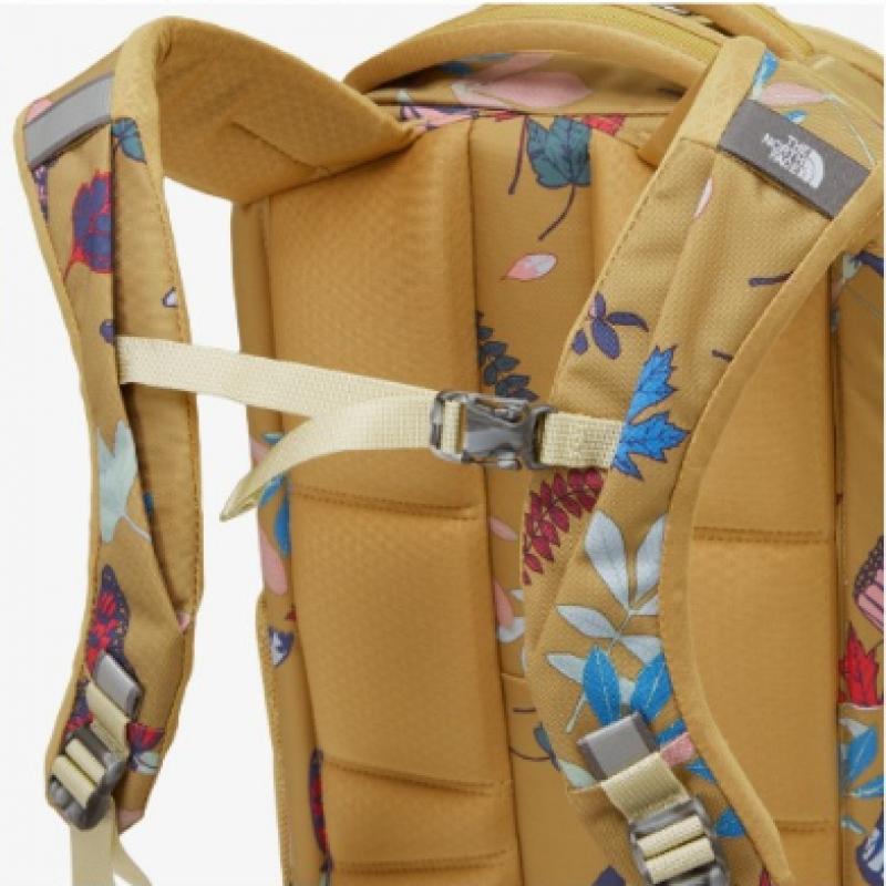 [north Face Official] Nm2Sp71a Women S jeSter