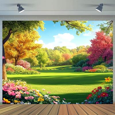 Accesorios para fotos de estudio – Fondos
