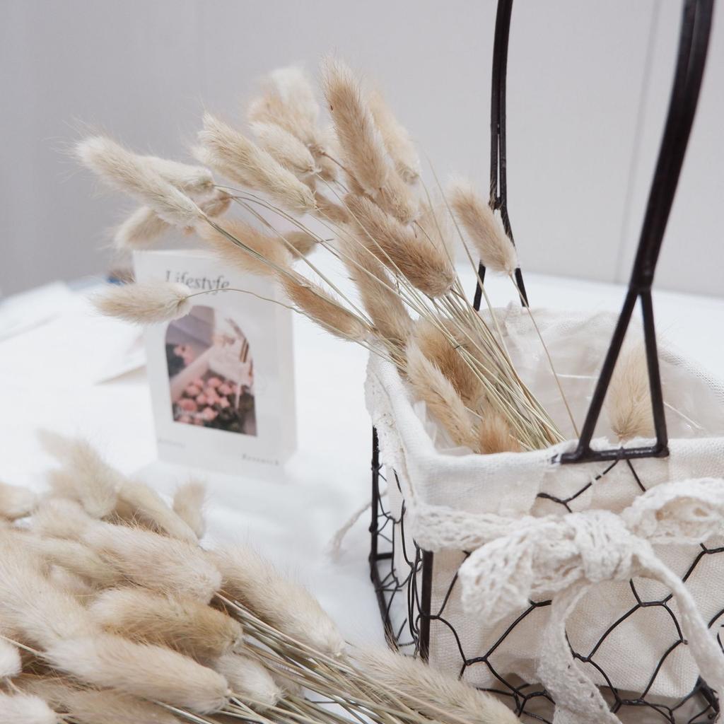 Small Reed Dried Flower Bouquet Small Whisk Small Pu Reed Reed Dried Flower Rabbittail