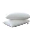 Bu Zhi Yuan Premium Washable Pillow Core