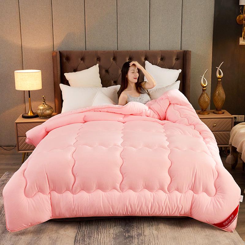 Brushed Comforter: Thickened Silk Cotton Quilt for All Seasons