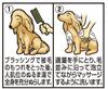 For JOYPET Medicated Skin Care Shampoo for Dogs 600ml [Quasi-drug Animals] Rinse-in