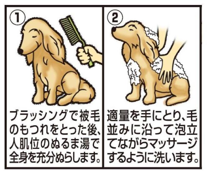 For JOYPET Medicated Skin Care Shampoo for Dogs 600ml [Quasi-drug Animals] Rinse-in