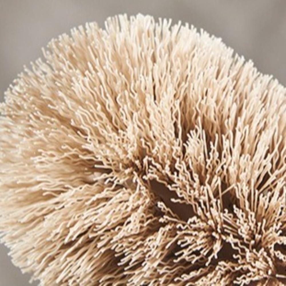 Plastic Toilet Brush Long-Handled Closestool Brush Practical Toilet Scrubber  Washroom