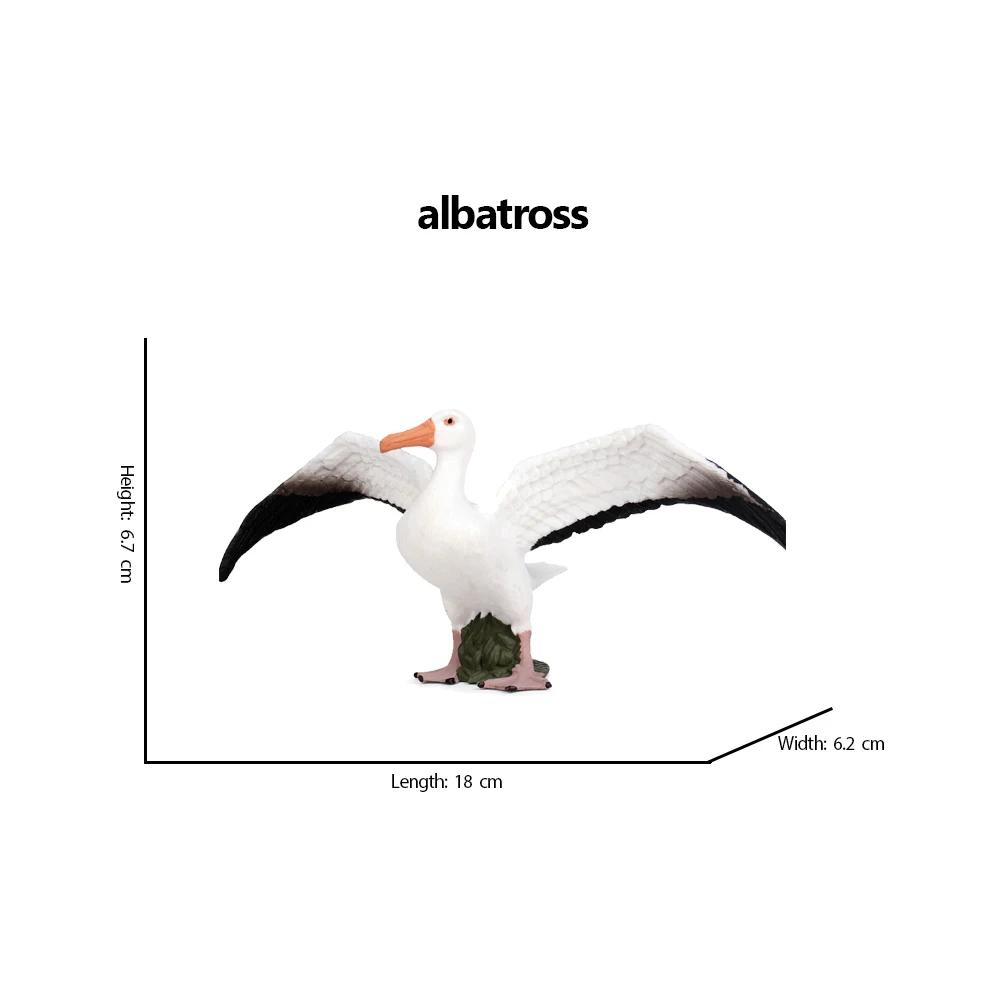Kiwi Bird Jungle Animals Figures Peacock Phoenix Mallard Turkey Toucan Action Figure Toy Animal Figurines Toys for Kids Gifts