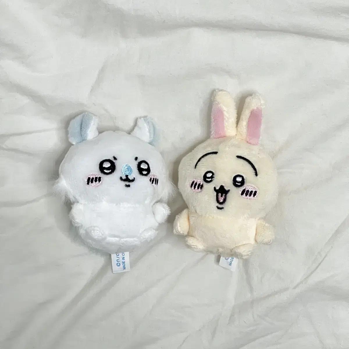 

Момонга, Группа Усаги, Группа сестер, сидящих вдали с Чикой