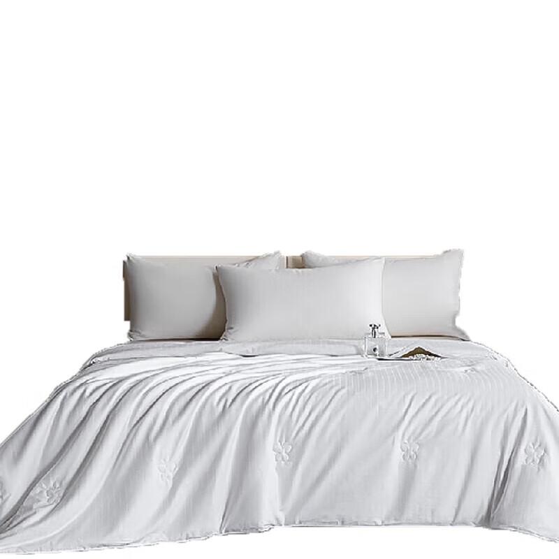 Hengyuanxiang Haisen 100% Mulberry Silk Quilt