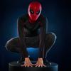 Hasbro Marvel Legends Spider-Man Homecoming Interactive Electronic Mask Premium Role Play Gear for Adults