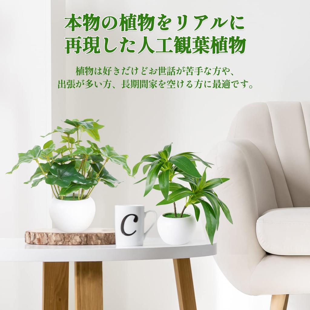 XiaZ Artificial Plants Set Qualified Invoice Mini Potted Tabletop No No Care Perfect for and other and Monstera (Fake Greenery) 3-Piece - Available.