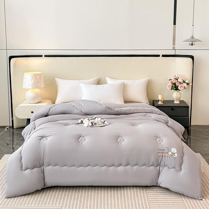 Pugu Klasse A Xinjiang Baumwolle Bettdecken-Einlage