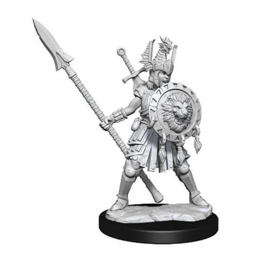 

D&D Frameworks Миниатюрный модельный комплект (Человек-боец F)