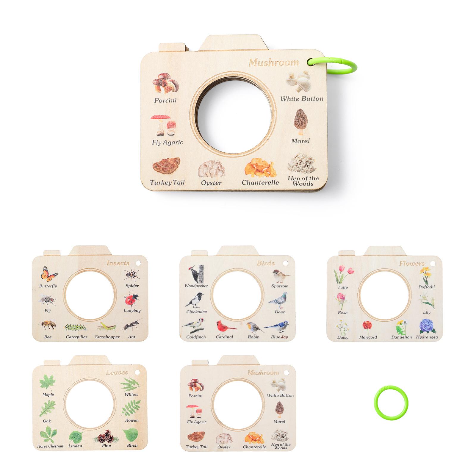 

Карточки для развития памяти для малышей Упражнение Приключение на природе Когнитивные обучающие пособия Насекомые Птицы Когнитивные паттерны Цветы и растения Исследование Когнитивная доска Wooden Book