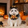 Halloween Costume for Small Pets 1 Set Cat Costume, Wizard Hat And Lace Bandana, Ruffled Bib Dog with Bow Bell, Holiday Party Outfit Dogs, Cats