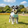 Fashion Super Stretchy Dog Sport Vest Breathable Mesh Quick Drying Pet T-shirt Color Blocked Soft Summer Pet Clothes Puppy Wear