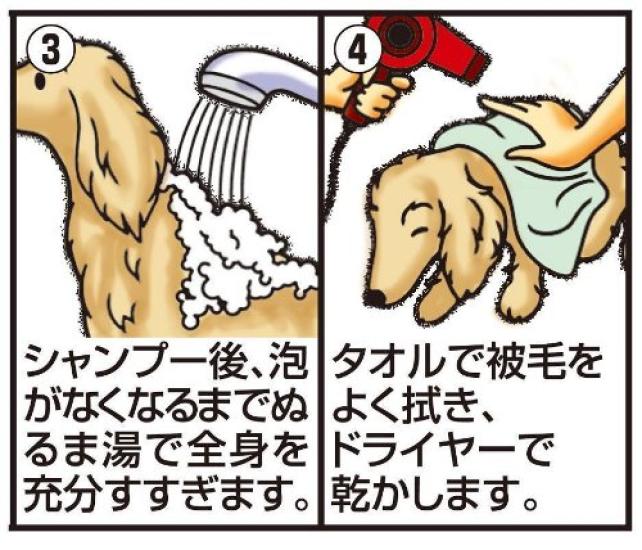 For JOYPET Medicated Skin Care Shampoo for Dogs 600ml [Quasi-drug Animals] Rinse-in