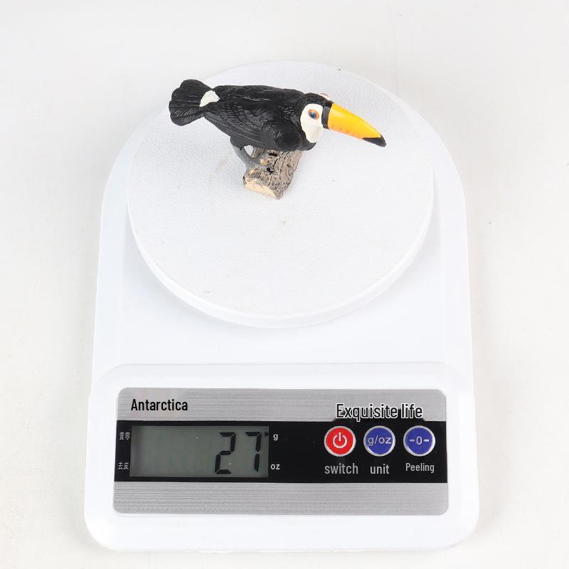 Children's Educational Wild Animal Model: Toucan & Macaw Parrot Toy