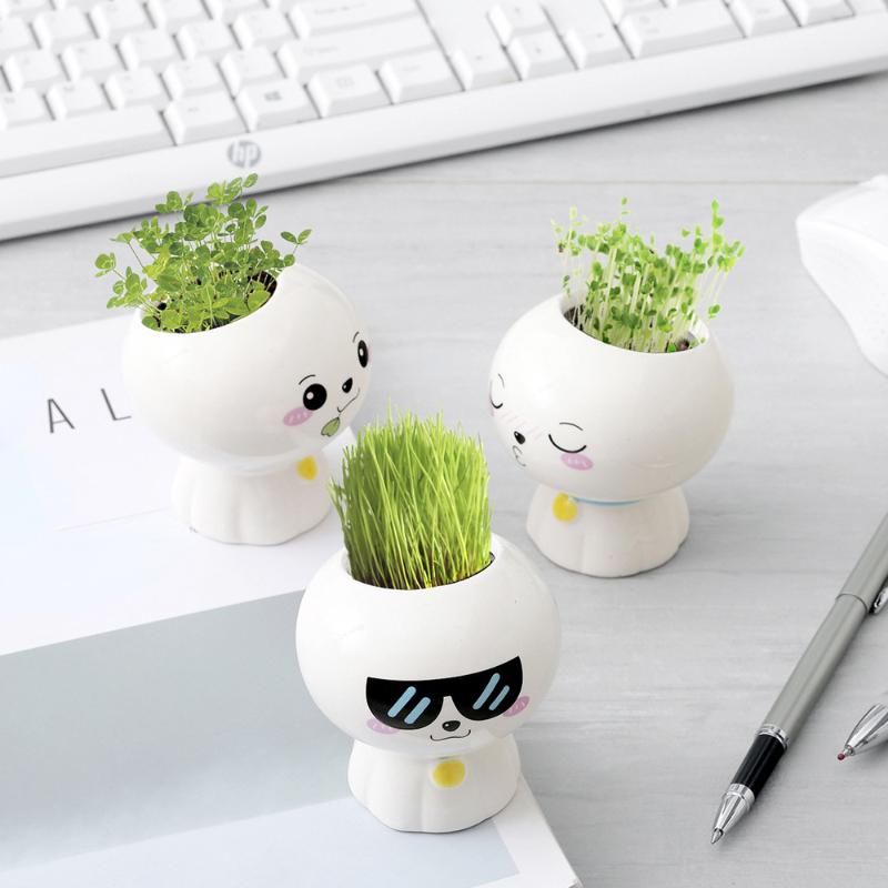 Nouă mini păpușă drăguță ghiveci cu flori Ghiveci din ceramică suculente în ghivece creative bricolaj jucării pentru copii cadou educație științifică decor acasă