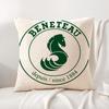 Cartoon BBeneteauS YYachts Cushion Cover Natural Linen Organic Fabric DoubleSided Printing Sofa Home Decor Breathable