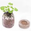 50PCS Grow Seedlings Mud Compress Nutrition Soil Block Planting Earth Gardening Articles for Flowers.