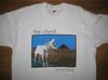 Vintage 1992 The Church T-shirt Band Tour NI399 FREE SHIPPING