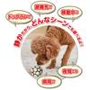 Petio Silent Dog Latex Soccer Ball
