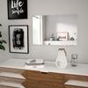 VidaXL Wall Mirror Rectangular Glass Wall Decoration Home Living Room 245699