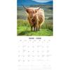 Red Robin 2026 Highland Cows Monthly Wall Calendar | 12" x 24" Open | Premium Thick & Sturdy Paper | Hangable 12 Month Calendar | Lined Notes & To Do