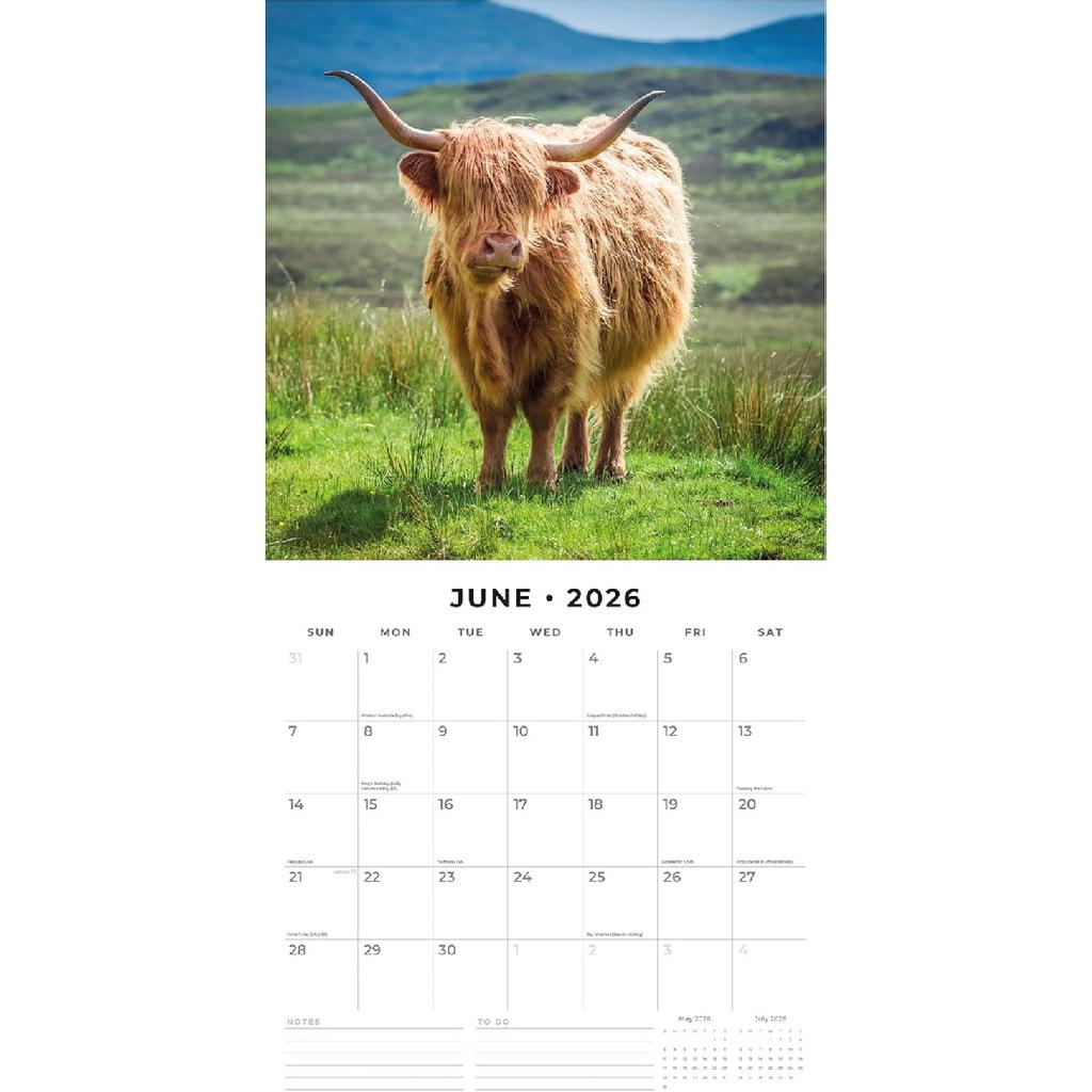 Red Robin 2026 Highland Cows Monthly Wall Calendar | 12" x 24" Open | Premium Thick & Sturdy Paper | Hangable 12 Month Calendar | Lined Notes & To Do