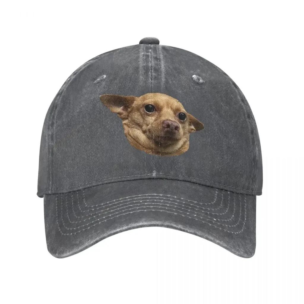 All Knowing Dog Baseball Caps Snapback Damln Fabric Hats Outdoor Adjustable Casquette Streetwear Baseball Cowboy Hat for Unisex