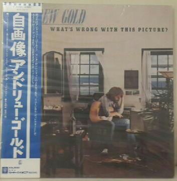 

LP Record ANDREW GOLD - What s Wrong With This Picture P10290Y ASYLUM 1976 Japan Rock Used