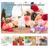 6Pcs Glass Cloche Dome Display Case 2.8x2 Inch Clear Dome with Wooden Base Dustproof Display for Preserved Flowers Wedding