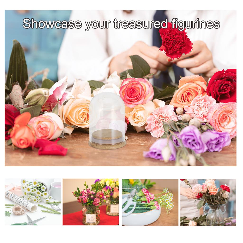 6Pcs Glass Cloche Dome Display Case 2.8x2 Inch Clear Dome with Wooden Base Dustproof Display for Preserved Flowers Wedding