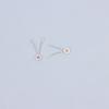5Pcs Watch Movement Accessories Suitable For 7009 7S26 7S36 Movement Automatic Fork Mechanical Watch Parts