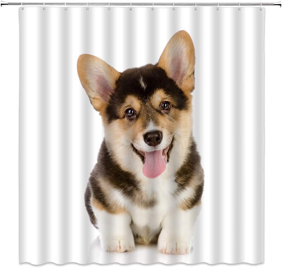 Cat Shower Curtain Blue Teal Rustic Farmhouse Floral Lovely Cat Kitten Funny Aniaml for Pet Lover Bathroom Decor Fabric Curtain