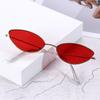Trend Small Frame Eyewear Ladies Shades Women's Sunglasses Retro Sunglasses Sun Glasses for Men