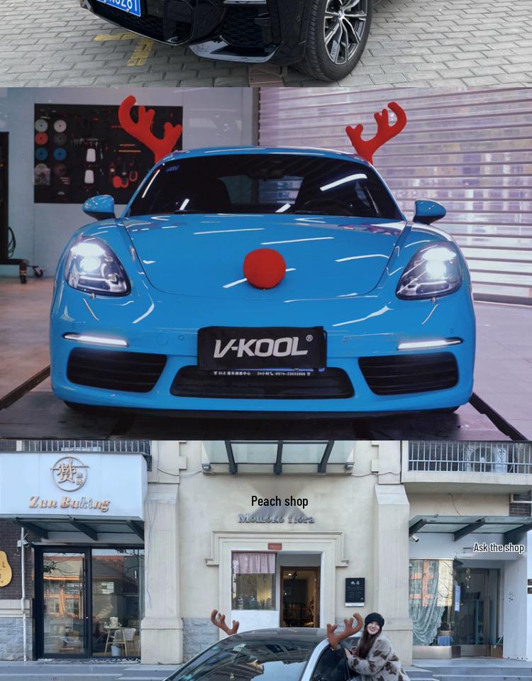 Vánoční dekorace - sobí parohy