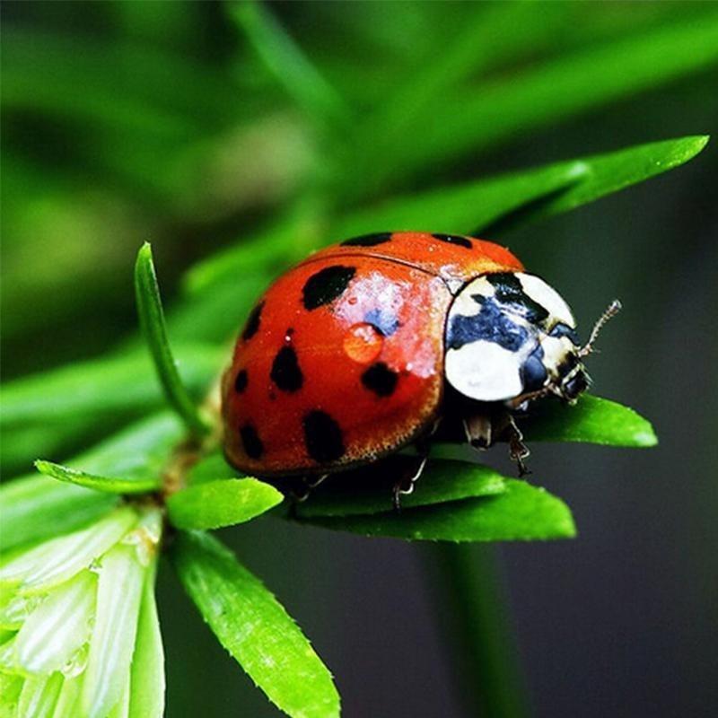 50 шт. — фото 8