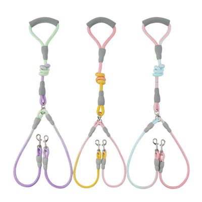 Perros – Collares y correas